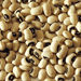 測(cè)量豆類濕度