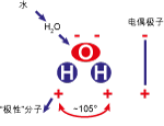雙極水分子